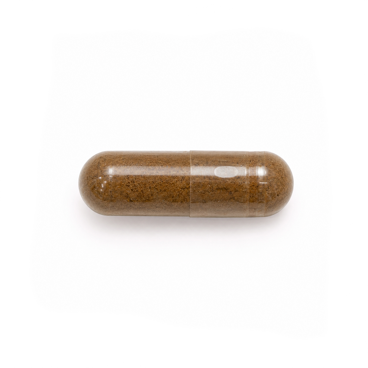 Brown reishi capsule pill on a white background